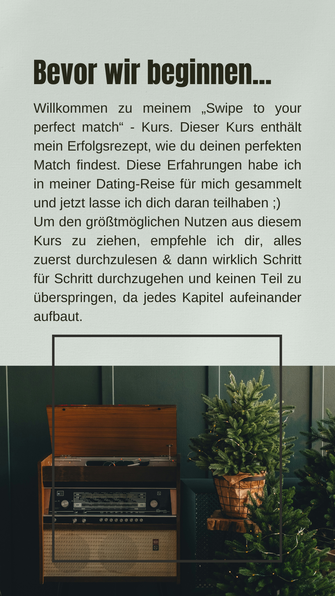 Swipe to your perfect match - The Manual [Deutsch]